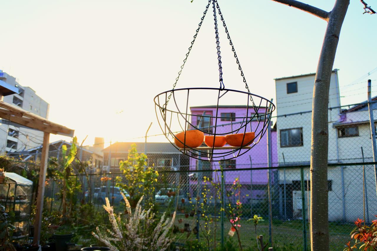 Kamagasaki University Of The Arts Cafe Garden Guest House Aka Cocoroom Осака Екстер'єр фото